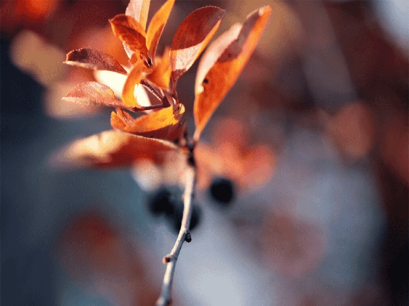 北京华博医院费用表试管卵子结合率西安治疗不孕不育费用